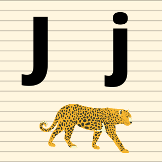 Pronunciation: j (French)