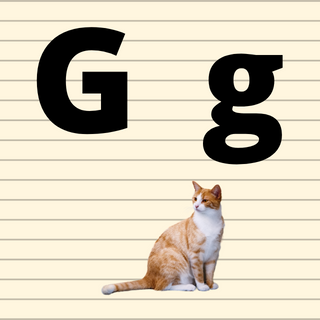 pronunciation of g in italian