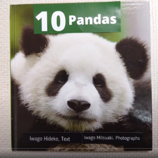 Book: 10 pandas