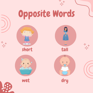 Matching Opposites Words