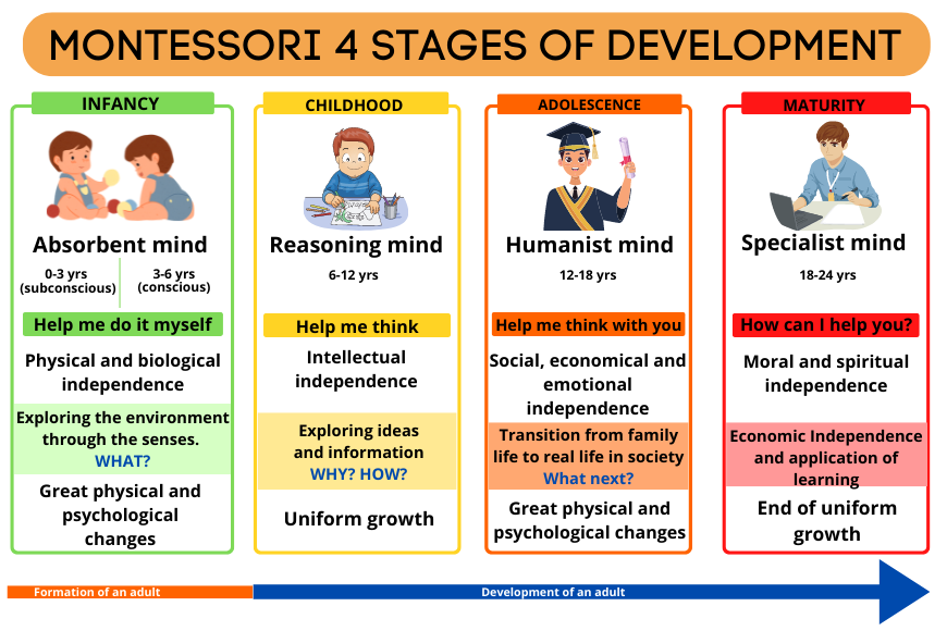 Montessori stages of development