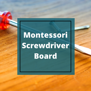 Montessori Screwdriver Board